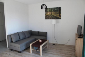Apartament Fibra Freddo, Rybnik